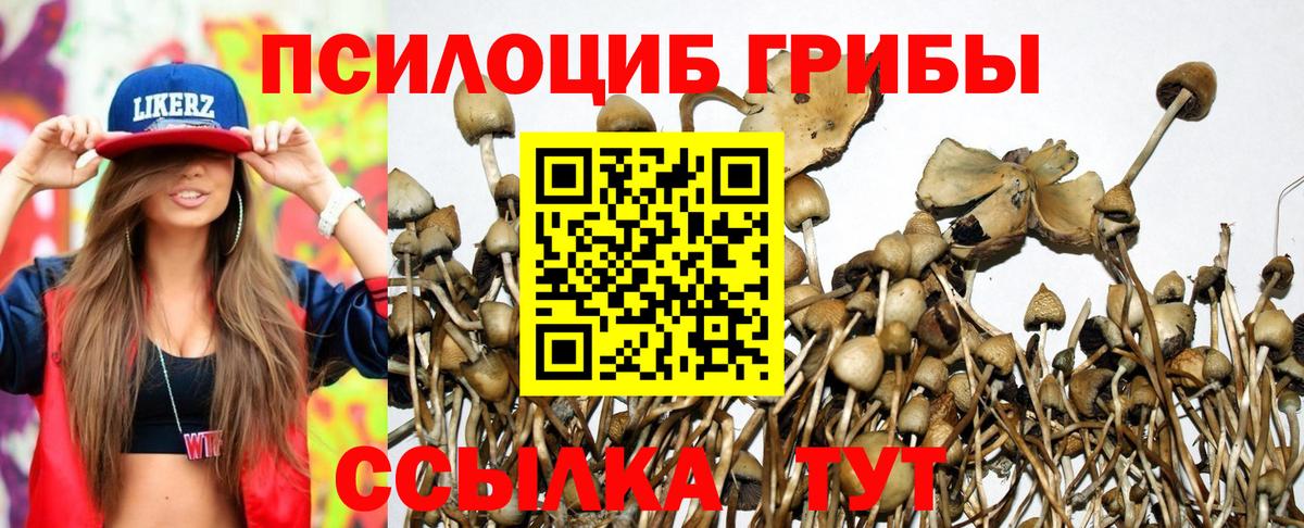 Галлюциногенные грибы Magic Shrooms Видное