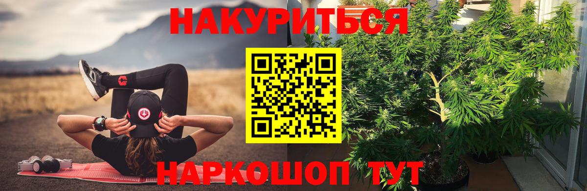 Канабис сатива Видное